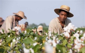 12 Years a Slave- Picking cotton