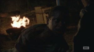 Four Walls and a Roof- Tainted Meat