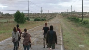 Self-Help- Group finds herd of walkers blocking their path