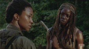 Them- Sasha considers taking out some of the walkers