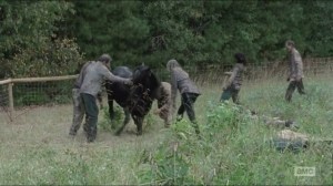 Forget- Buttons attacked by walkers