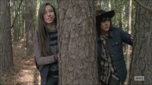 Try- Enid and Carl find a walker