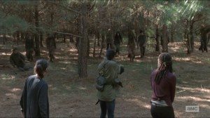 Try- Rosita, Sasha, and Michonne take out walkers