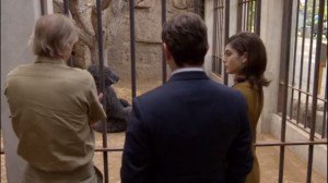 Monkey Business- Gil the Gorilla