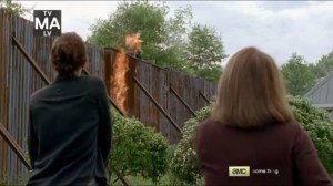 JSS- Molotov cocktails hit the walls of Alexandria- AMC, The Walking Dead