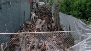 Thank You- Glenn and Nicholas surrounded