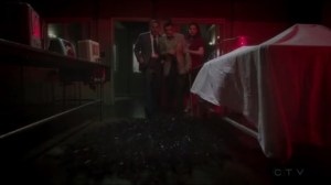 The Lady in the Lake- Daniel, Andrew, and Peggy find Dr. Meltzer's body, Daniel pushes it