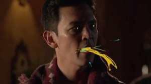 Holacracy- Sean the Cobra Lord