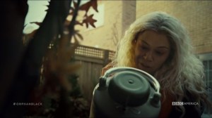 From Instinct to Rational Control- Helena buries the liquid nitrogen