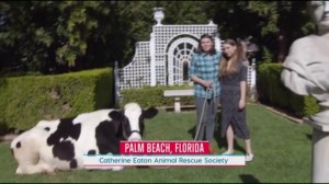 Kissing Your Sister- Catherine and Marjorie at an animal sanctuary