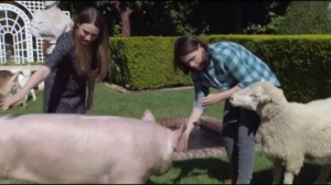 Kissing Your Sister- Marjorie and Catherine pet animals