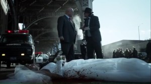 follow-the-white-rabbit-barnes-and-bullock-at-the-spot-where-the-newlywed-couple-jumped