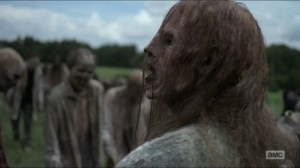 Evolution- Walker in the middle of the herd- The Walking Dead, AMC