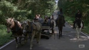 Stradivarius- Michonne and Siddiq taking Magna's group to the Hilltop- The Walking Dead, AMC