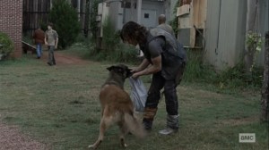 Bounty- Searching for Henry- AMC, The Walking Dead