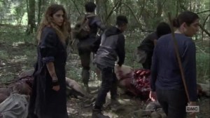 Omega- Tara leads group to search for Alden and Luke- AMC, The Walking Dead