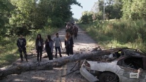 Chokepoint- Hilltop group finds tree blocking their path- AMC, The Walking Dead