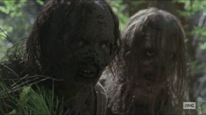 Scars- Whisperers find the Kingdom- AMC, The Walking Dead