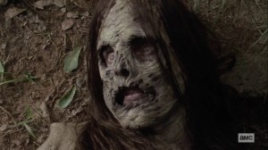 Ghosts- Whisperer alive- AMC, The Walking Dead