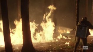 Lines We Cross- Putting out the fire- AMC, The Walking Dead
