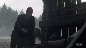 Look at the Flowers- Alpha gives Carol some advice from her mother- AMC, The Walking Dead