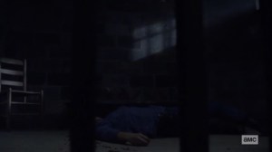 Stalker- Laura on the ground- AMC, The Walking Dead