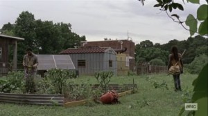 What We Become- Virgil and Michonne at the garden- AMC, The Walking Dead