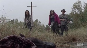 The Tower- Princess finds a dead horse- AMC, The Walking Dead