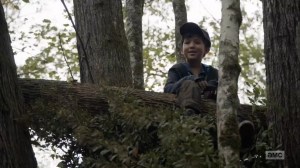 Home, Sweet Home- Hershel in a tree- AMC, The Walking Dead
