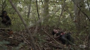 Home, Sweet Home- Taking fire from the Reapers- AMC, The Walking Dead