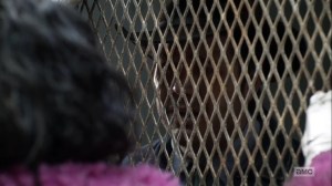 Splinter- Eugene tells Princess to go back into her boxcar- AMC, The Walking Dead