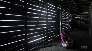 Splinter- Princess after attacking the Commonwealth soldier- AMC, The Walking Dead