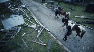 Hunted- Bringing horses back to Alexandria- AMC, The Walking Dead