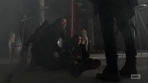 Hunted- Maggie and Negan find Alden- AMC, The Walking Dead