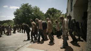 Promises Broken- Walker herd grows- AMC, The Walking Dead