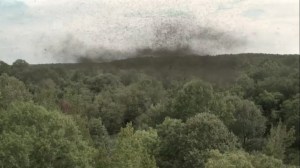 Acts of God- Swarm of locusts- AMC, The Walking Dead