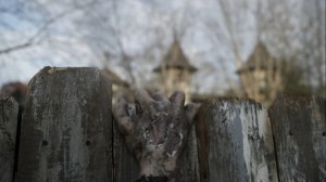 Variant- Walker at the gate- AMC, The Walking Dead